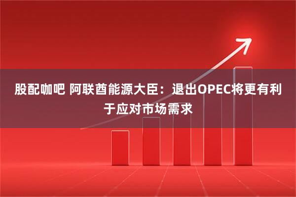 股配咖吧 阿联酋能源大臣：退出OPEC将更有利于应对市场需求