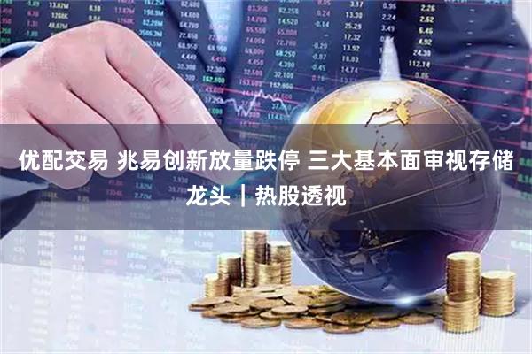 优配交易 兆易创新放量跌停 三大基本面审视存储龙头｜热股透视
