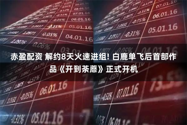 赤盈配资 解约8天火速进组! 白鹿单飞后首部作品《开到荼蘼》正式开机